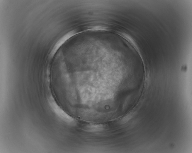 X0000113221243200909241440