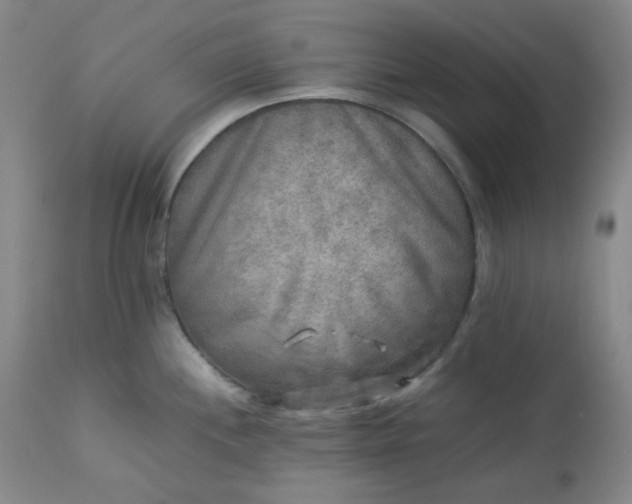 X0000113221244200909241440