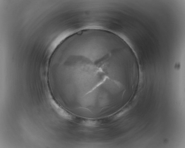 X0000113221245200909241440