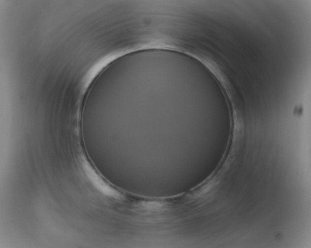 X0000113221246200909241440