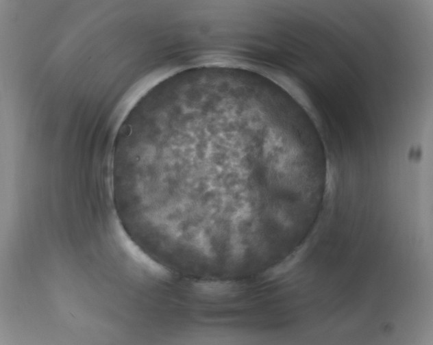 X0000113221247200909241440