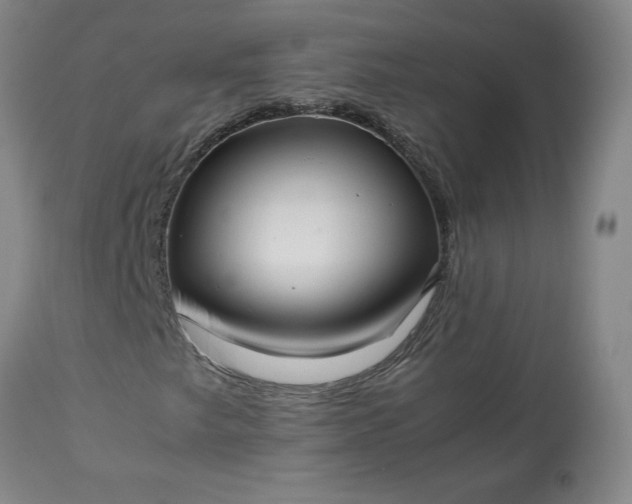 X0000113221249200909241440