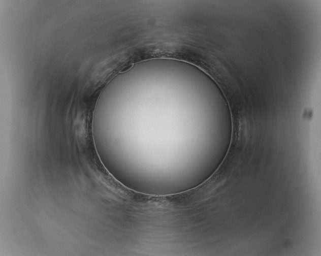 X0000113221250200909241440