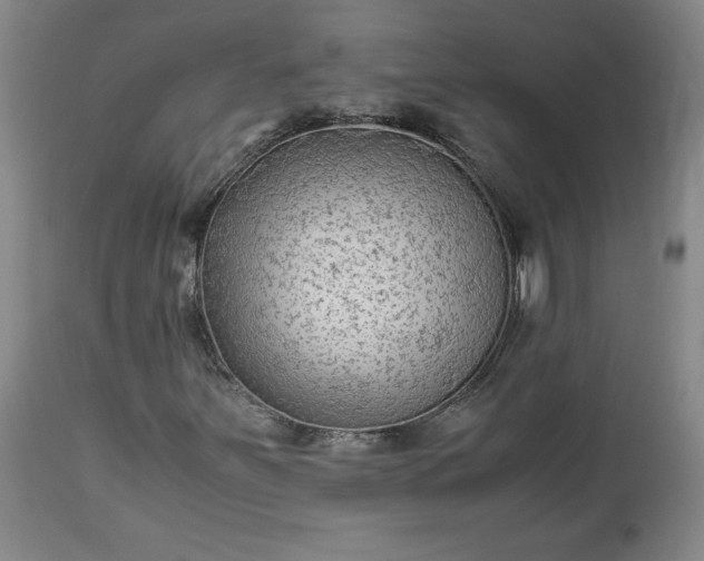 X0000113221251200909241440