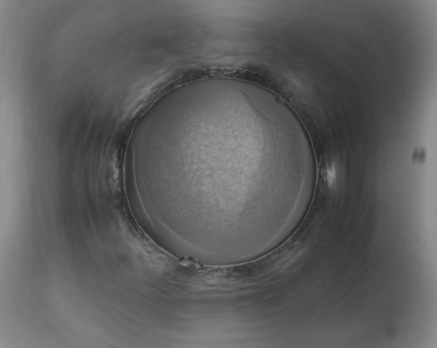 X0000113221252200909241440