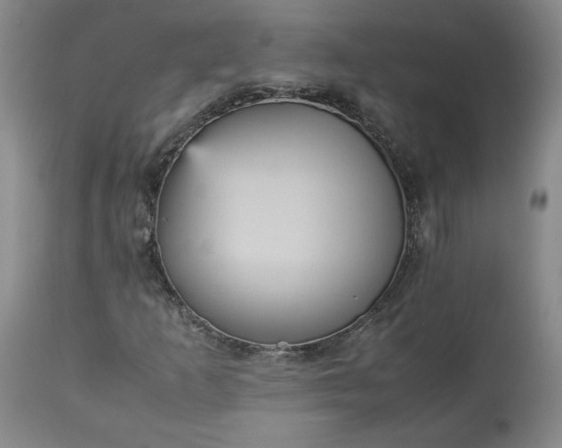 X0000113221253200909241440