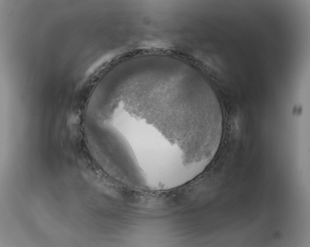 X0000113221254200909241440