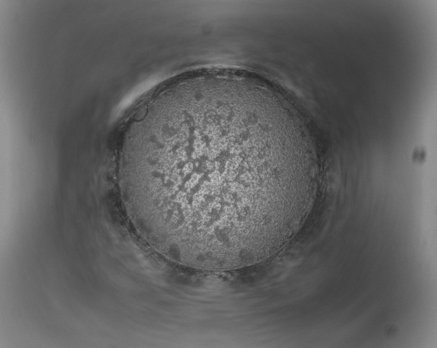 X0000113221255200909241440