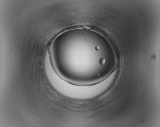 X0000113221257200909241440