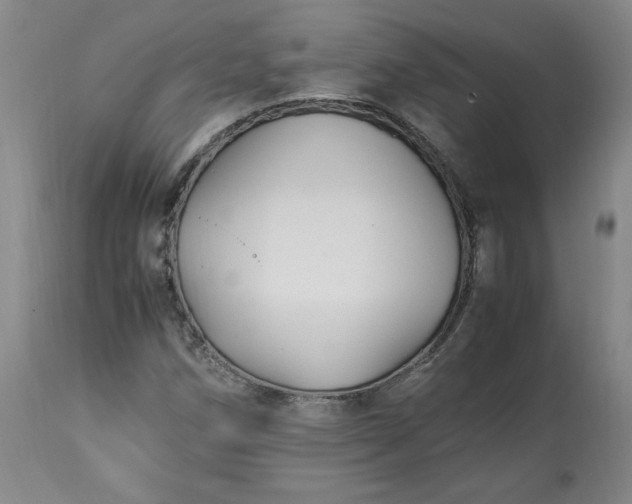 X0000113221258200909241440