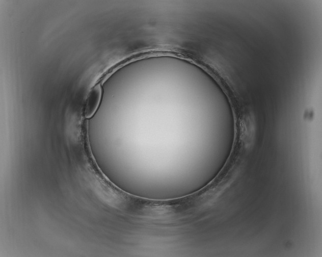 X0000113221260200909241439