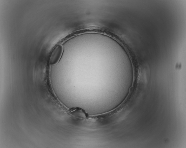 X0000113221261200909241439