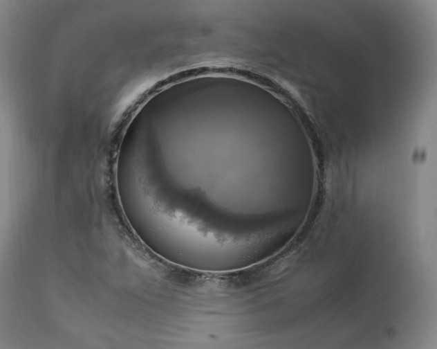 X0000113221263200909241439