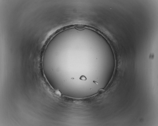 X0000113221264200909241439