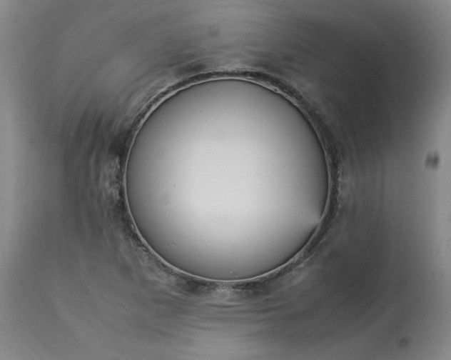 X0000113221265200909241439