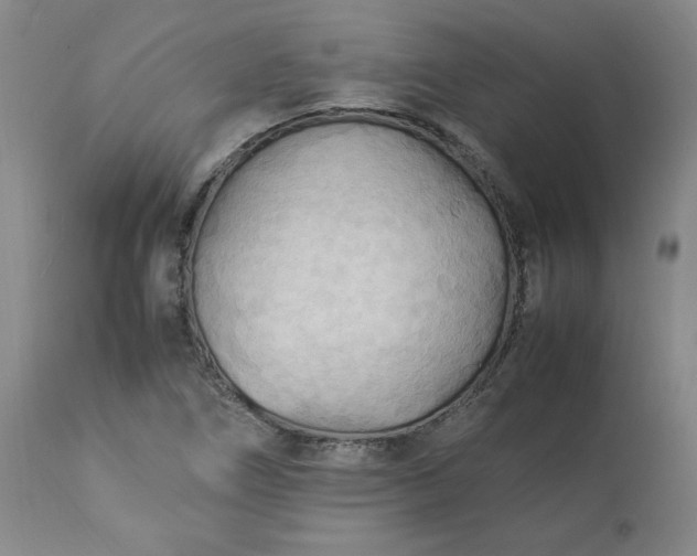 X0000113221266200909241439