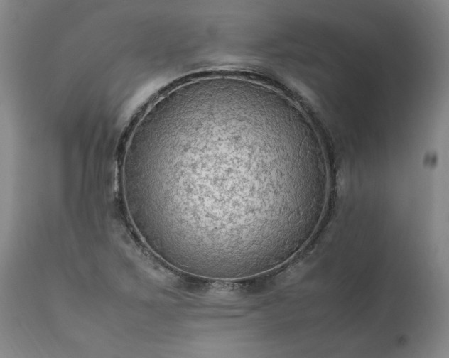 X0000113221267200909241439