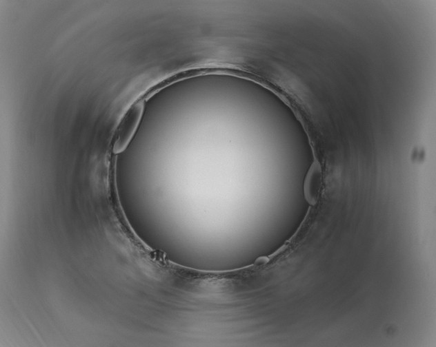 X0000113221268200909241439