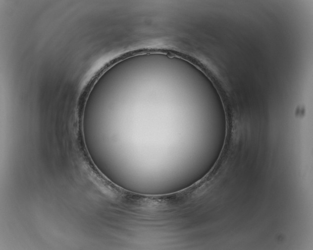 X0000113221270200909241439