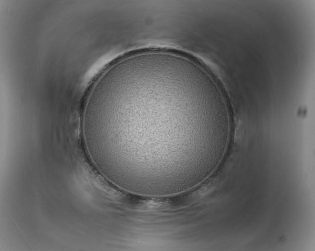 X0000113221271200909241439