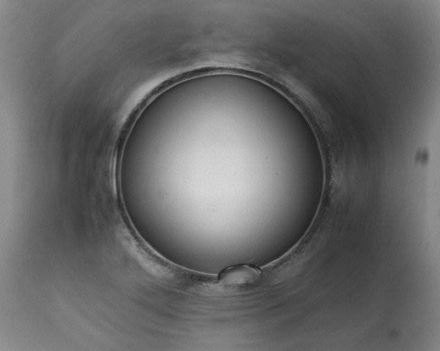 X0000113221272200909241439