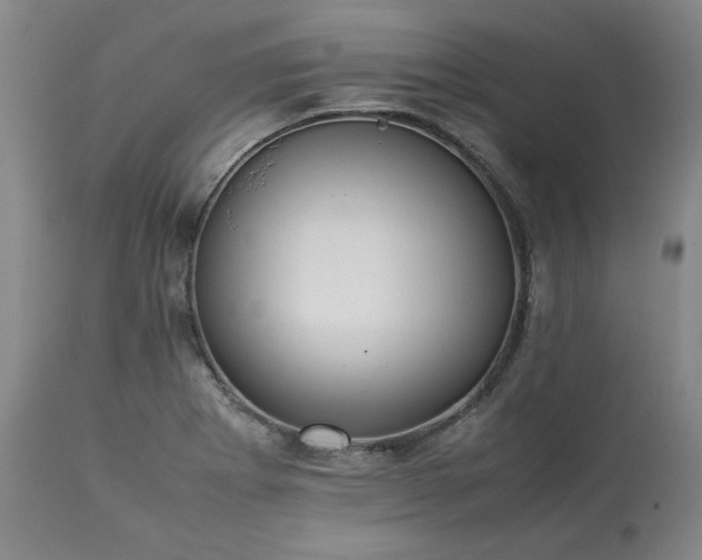 X0000113221273200909241439