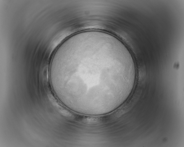 X0000113221274200909241439