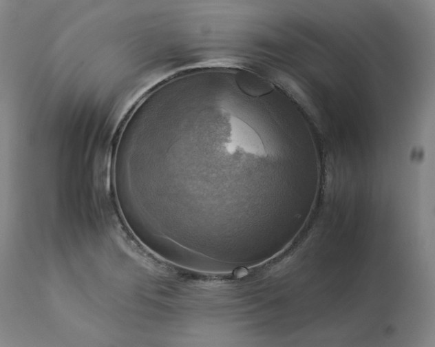 X0000113221276200909241439