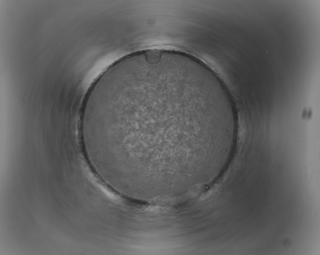 X0000113221277200909241439