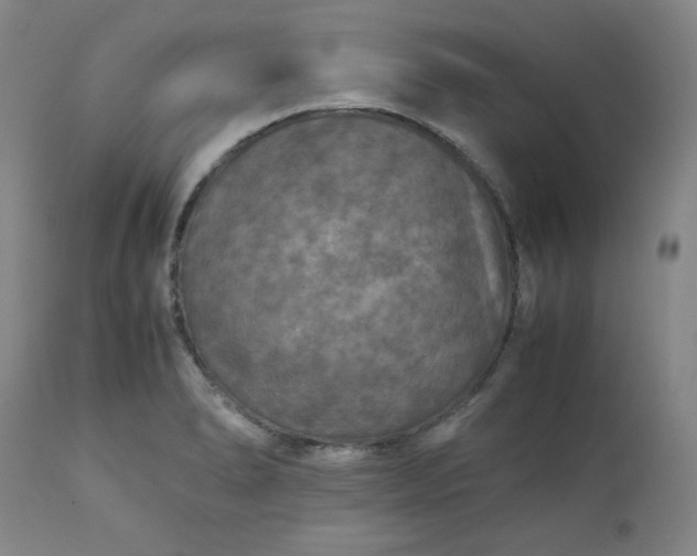 X0000113221278200909241439