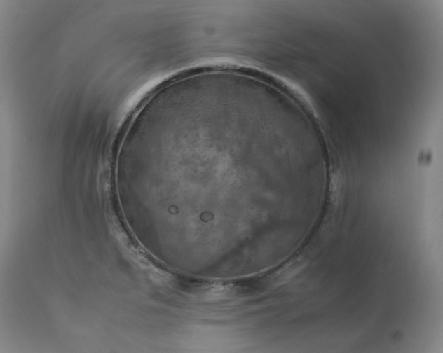 X0000113221279200909241439