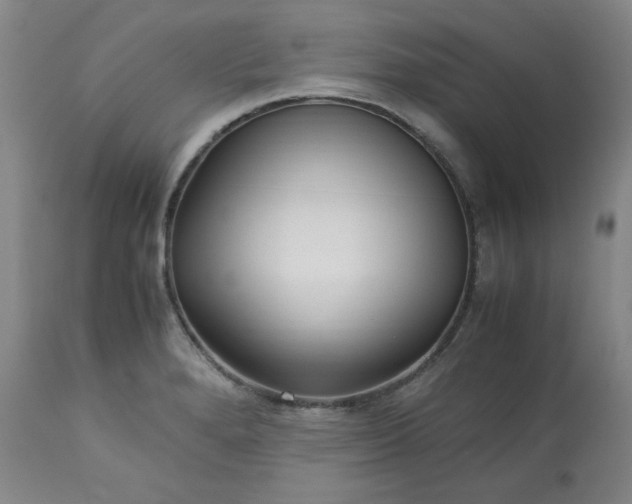 X0000113221280200909241439