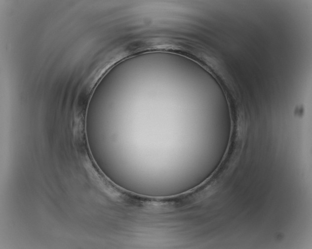 X0000113221281200909241439