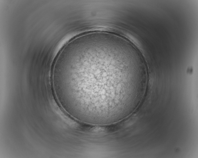 X0000113221283200909241439