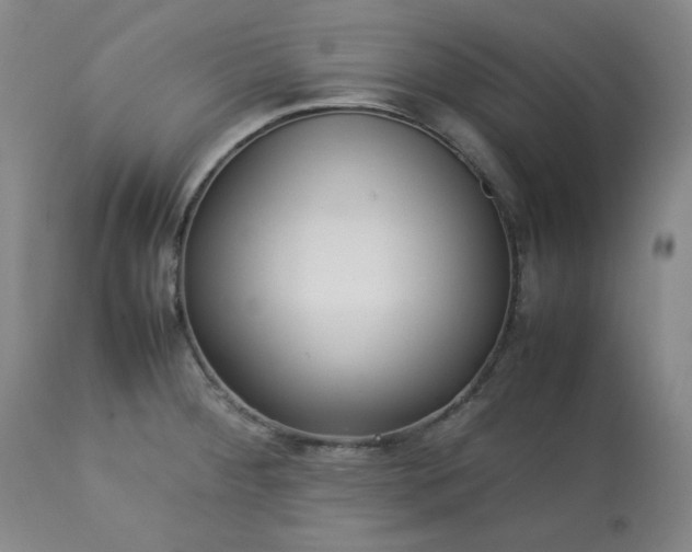 X0000113221284200909241439