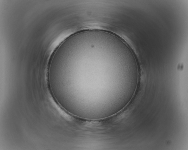 X0000113221285200909241439