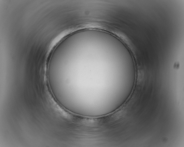 X0000113221286200909241439