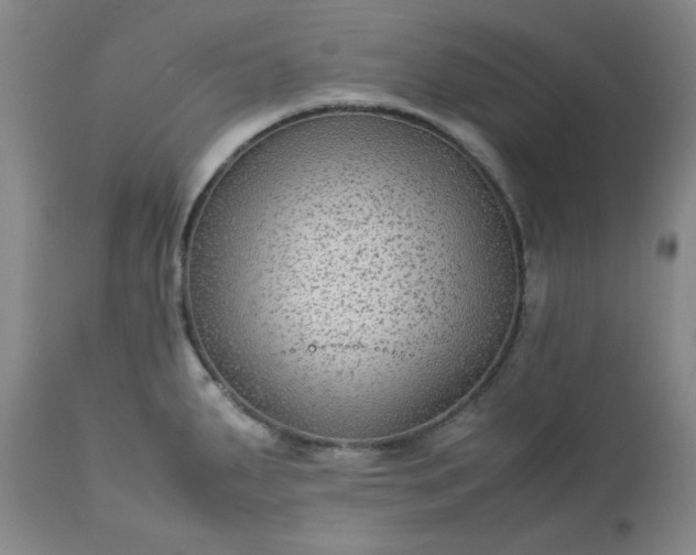 X0000113221287200909241439