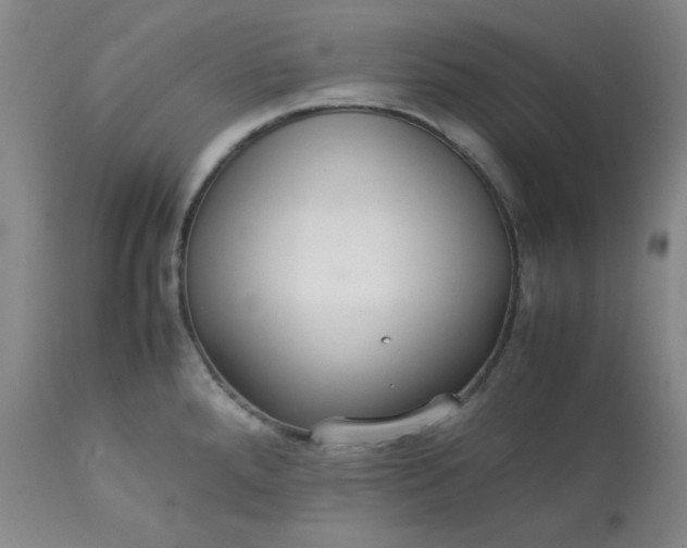 X0000113221288200909241439