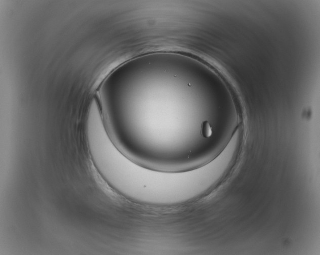 X0000113221289200909241439