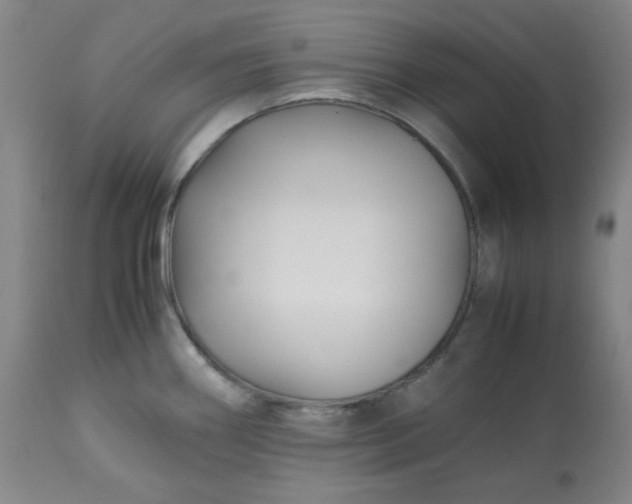 X0000113221290200909241439