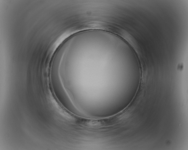 X0000113221291200909241439