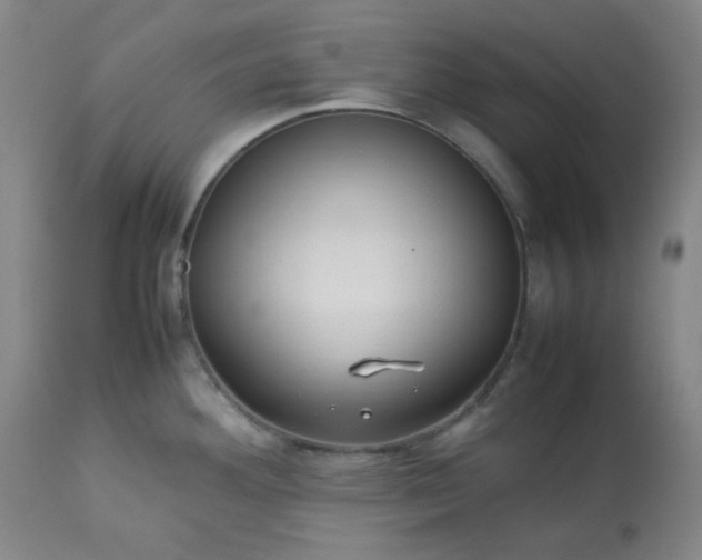 X0000113221292200909241439