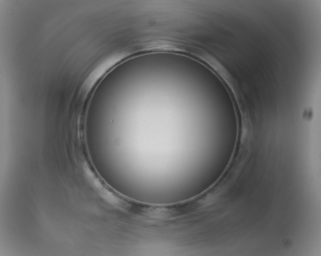 X0000113221293200909241439