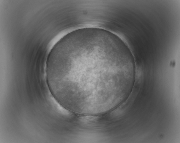 X0000113221294200909241439