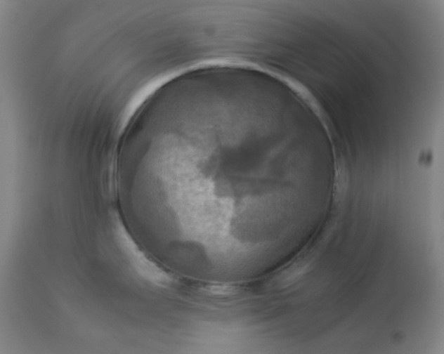 X0000113221295200909241439