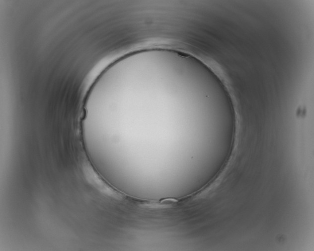 X0000113221296200909241439