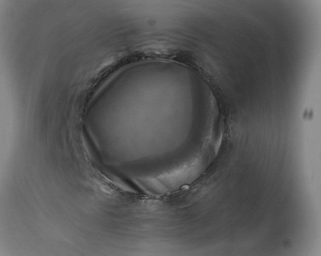 X0000113221297200909241438