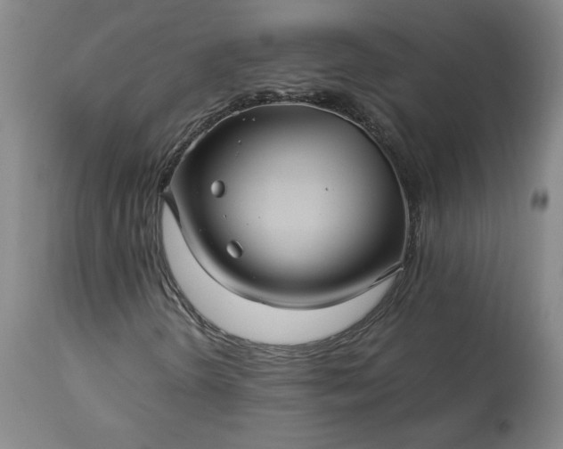 X0000113221298200909241438