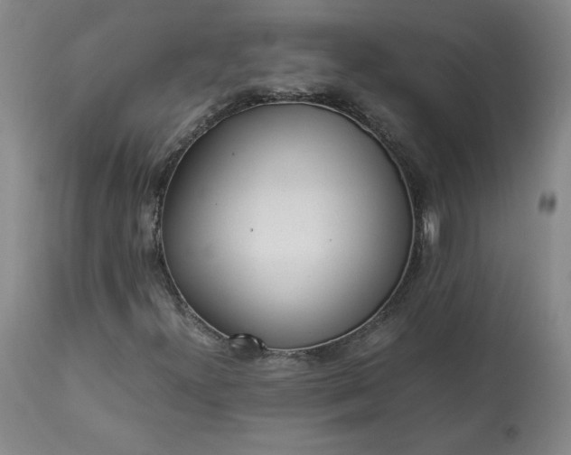 X0000113221300200909241438